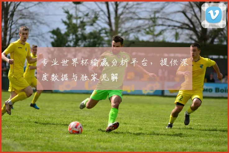 专业世界杯输赢分析平台,提供深度数据与独家见解