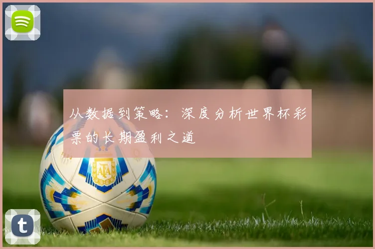 从数据到策略:深度分析世界杯彩票的长期盈利之道