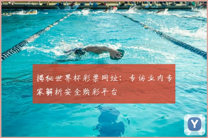 揭秘世界杯彩票网址：专访业内专家解析安全购彩平台
