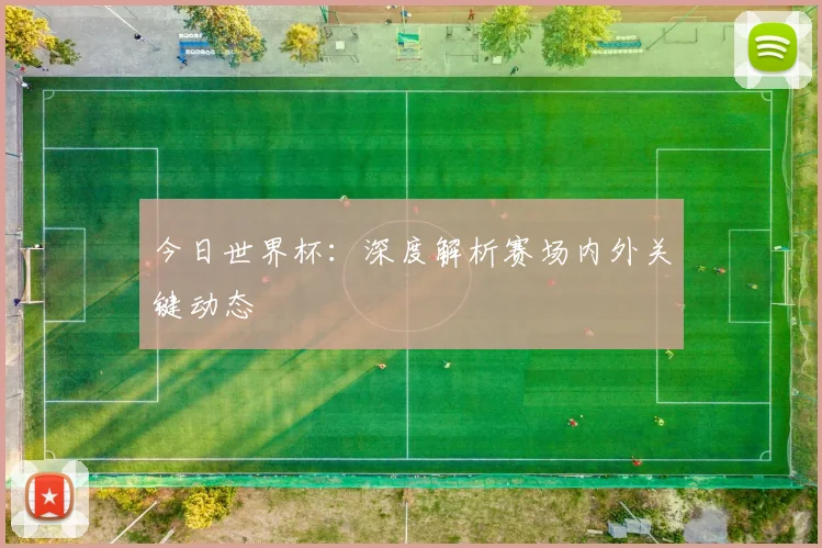 今日世界杯:深度解析赛场内外关键动态