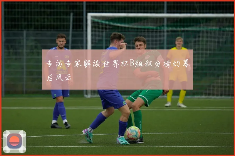 专访专家解读世界杯B组积分榜的幕后风云