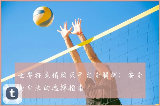 世界杯竞猜购买平台全解析:安全与合法的选择指南