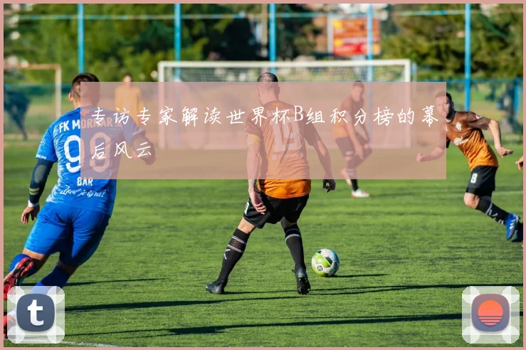 专访专家解读世界杯B组积分榜的幕后风云