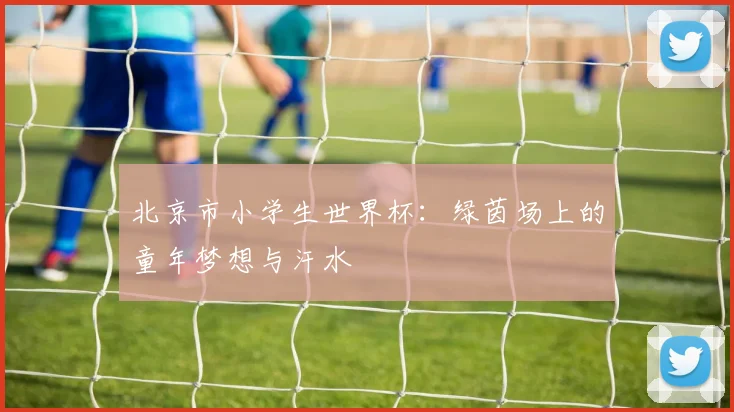 北京市小学生世界杯:绿茵场上的童年梦想与汗水
