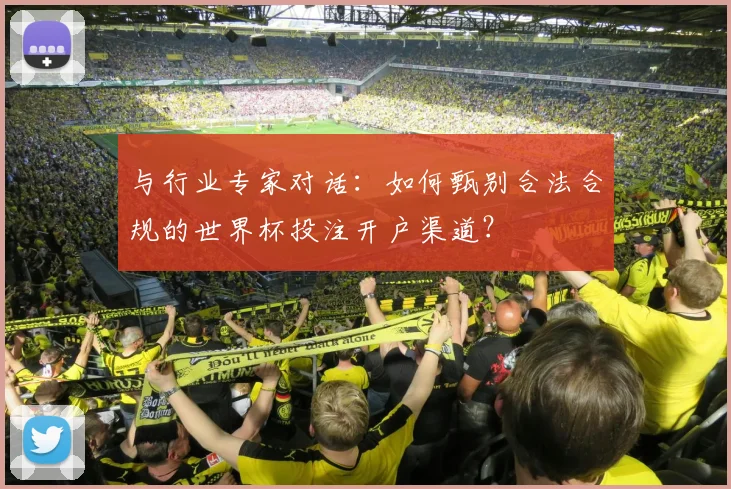 与行业专家对话：如何甄别合法合规的世界杯投注开户渠道？