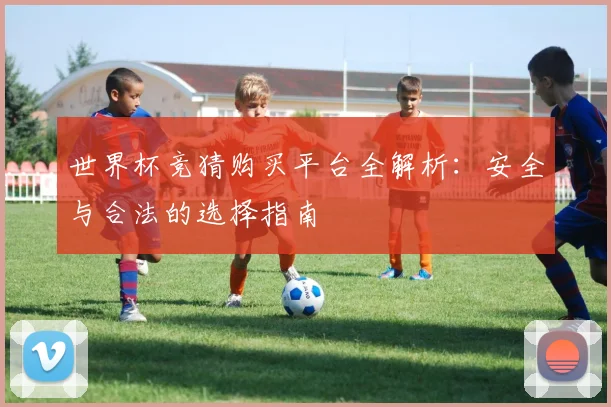 世界杯竞猜购买平台全解析：安全与合法的选择指南