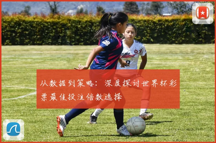 从数据到策略：深度探讨世界杯彩票最佳投注倍数选择