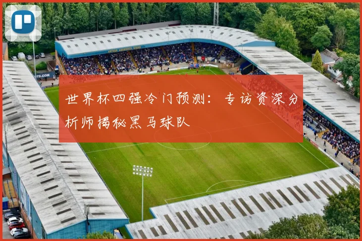 世界杯四强冷门预测:专访资深分析师揭秘黑马球队