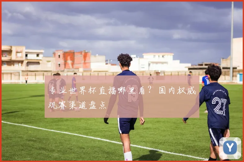 专业世界杯直播哪里看?国内权威观赛渠道盘点