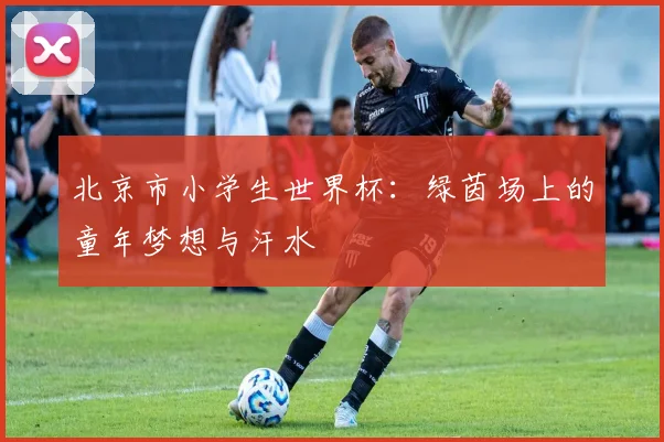 北京市小学生世界杯：绿茵场上的童年梦想与汗水