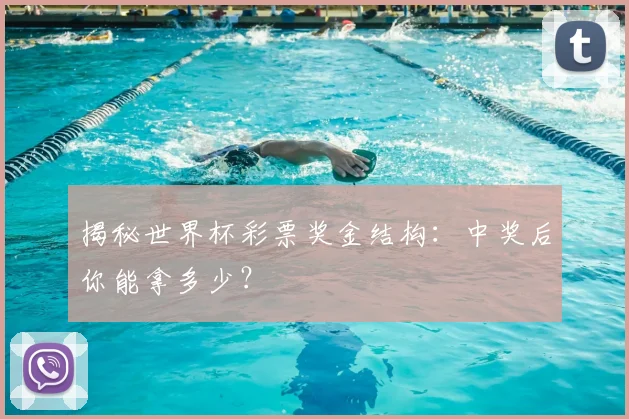 揭秘世界杯彩票奖金结构:中奖后你能拿多少?
