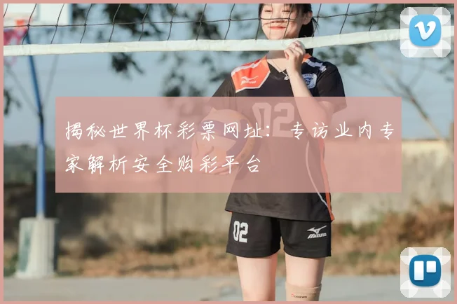 揭秘世界杯彩票网址：专访业内专家解析安全购彩平台