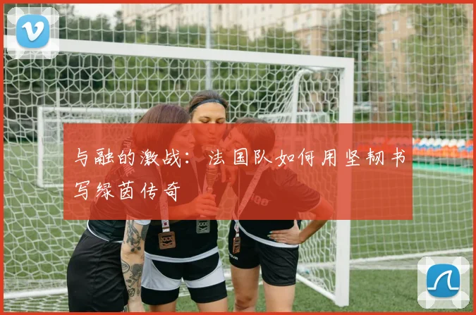 与融的激战：法国队如何用坚韧书写绿茵传奇