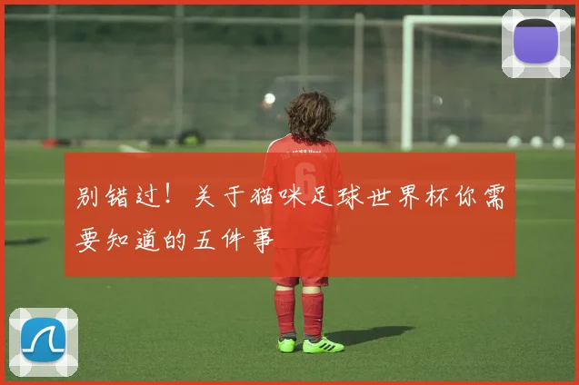 别错过！关于猫咪足球世界杯你需要知道的五件事