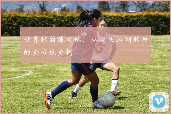 世界杯购球攻略：从合法性到赔率的全方位分析